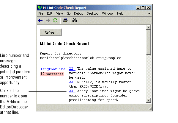 Image of M-Lint report.